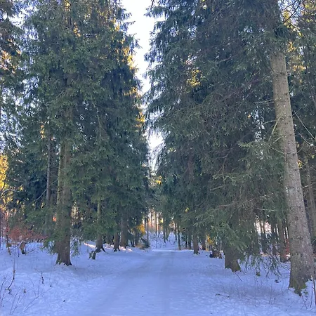 Dein - Wifi Geschirrspueler Smart Tv Διαμέρισμα