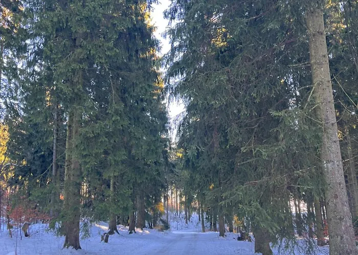 Dein - Wifi Geschirrspueler Smart Tv Lejlighed